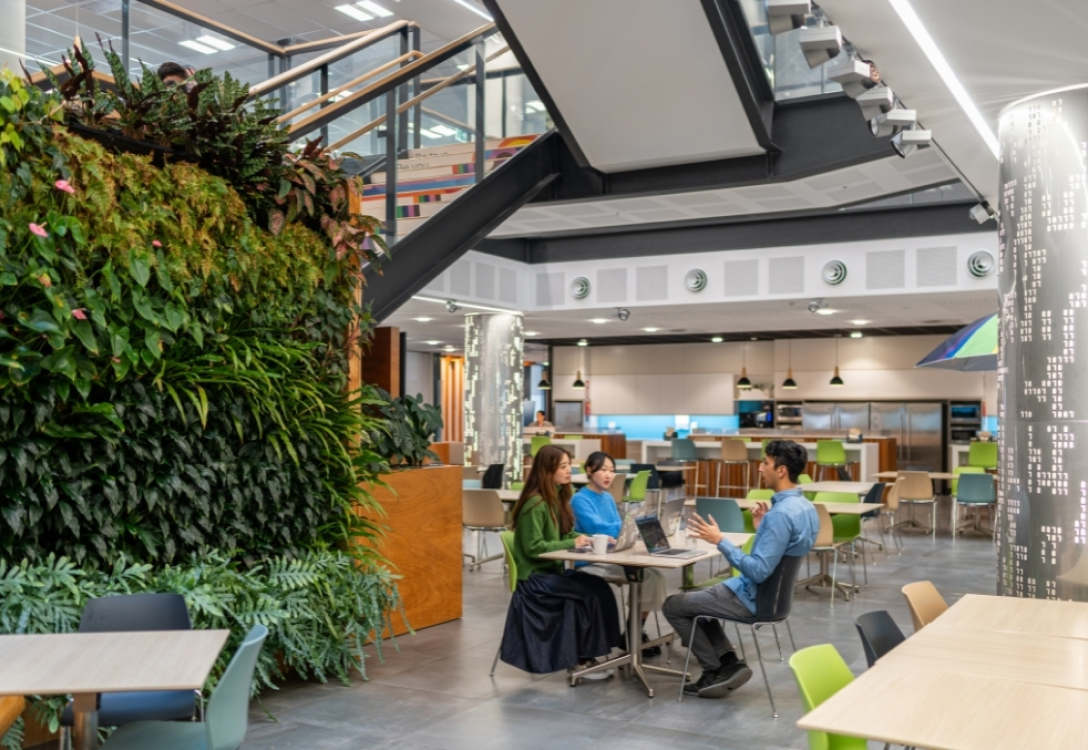 Photo of inside the Datacom office