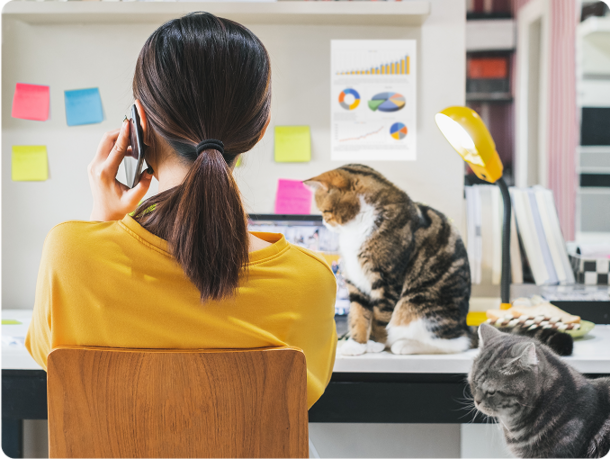 Girl sitting at a desk talking on her phone in front of a laptop with her pet cats beside her